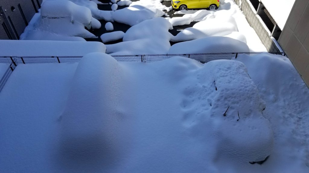 大雪　駐車場